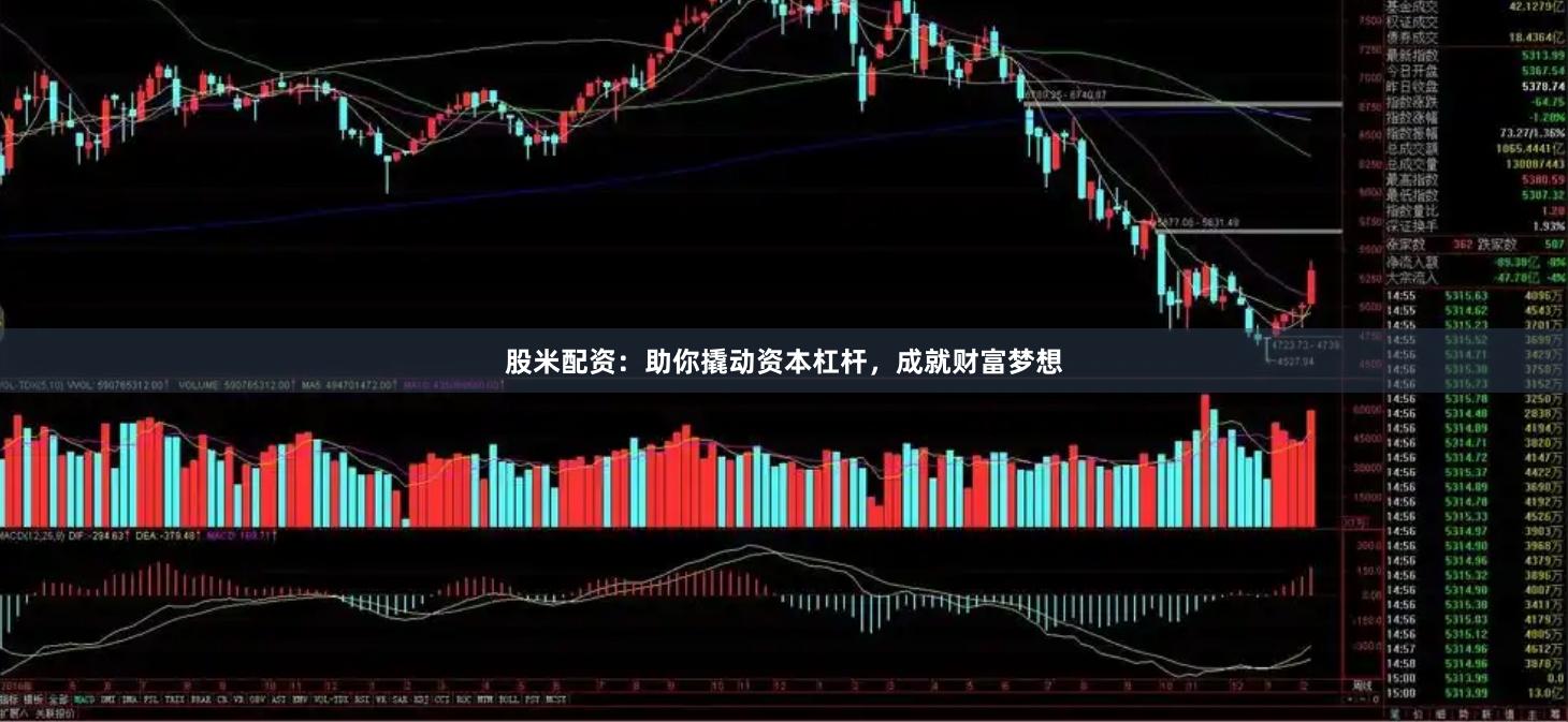 股米配资：助你撬动资本杠杆，成就财富梦想