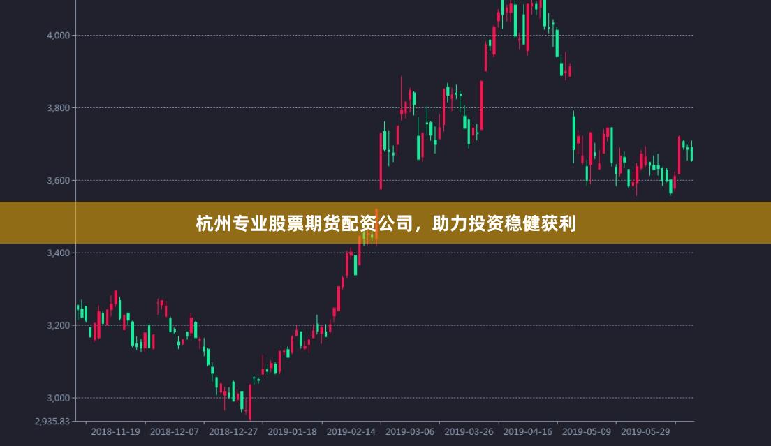 杭州专业股票期货配资公司，助力投资稳健获利