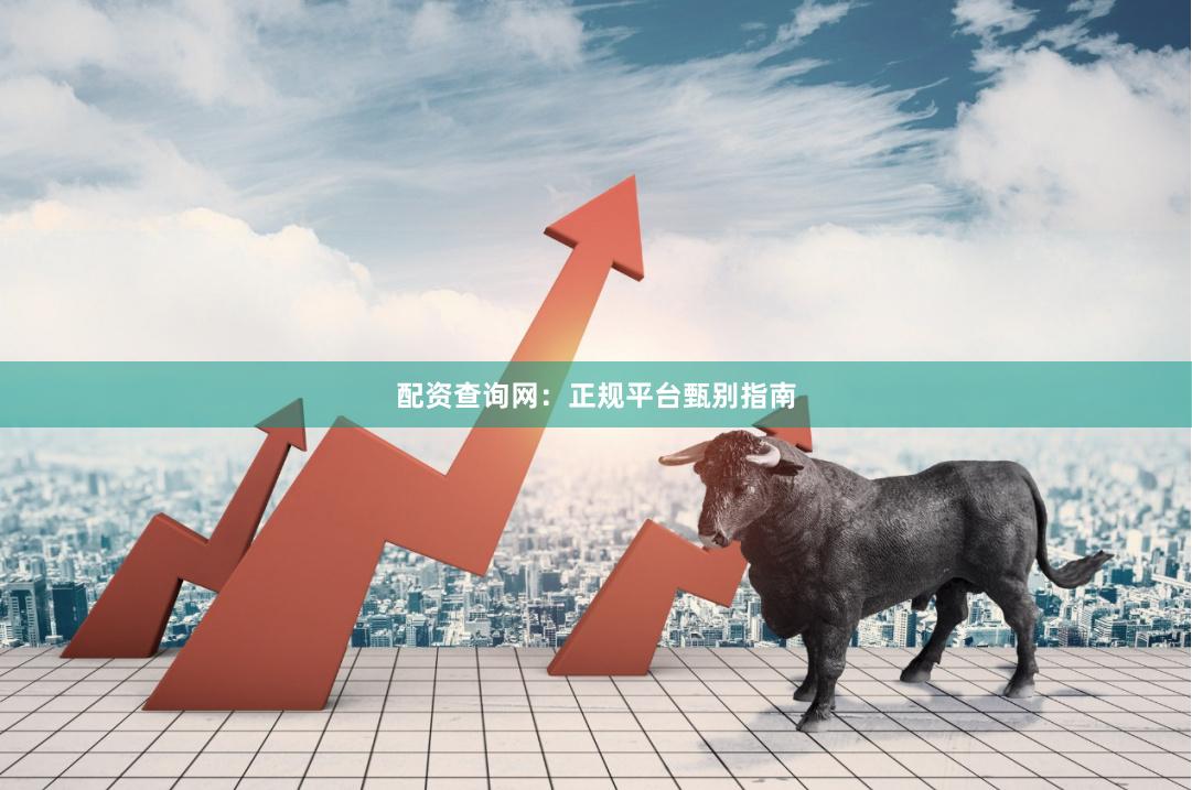 配资查询网：正规平台甄别指南